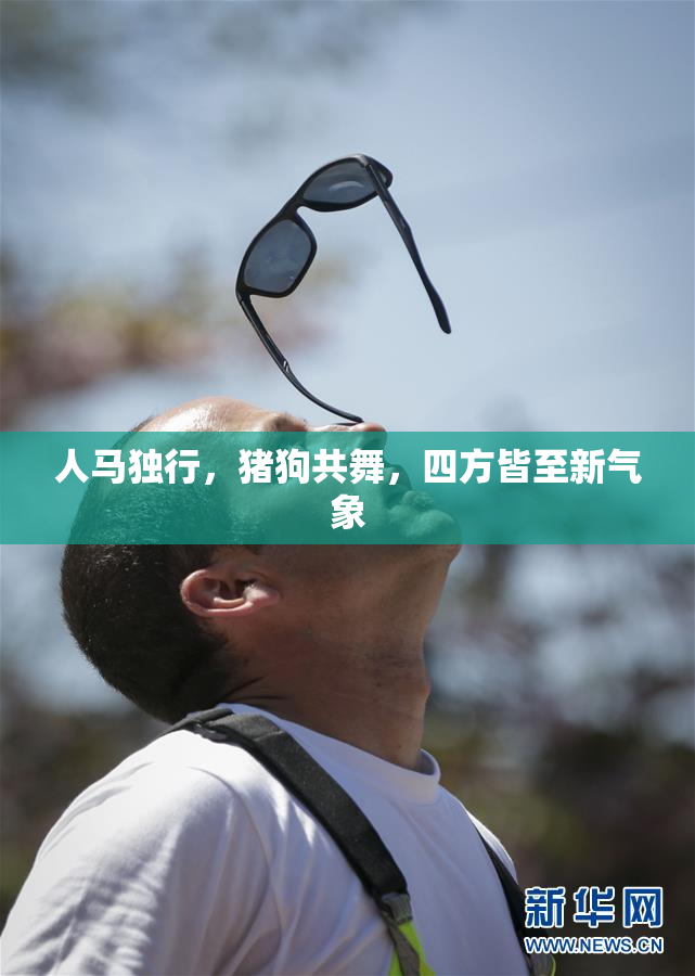 人马独行，猪狗共舞，四方皆至新气象