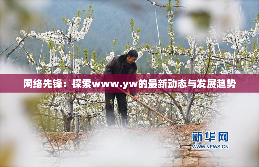 网络先锋：探索www.yw的最新动态与发展趋势