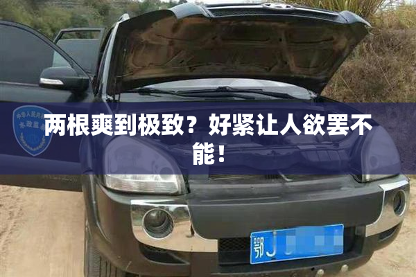 两根爽到极致？好紧让人欲罢不能！