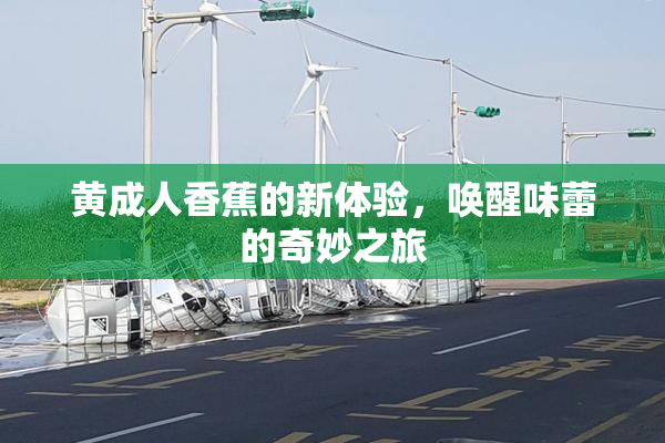 黄成人香蕉的新体验，唤醒味蕾的奇妙之旅