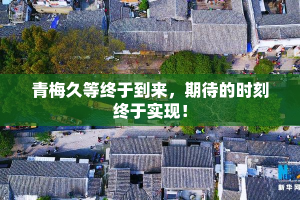 青梅久等终于到来，期待的时刻终于实现！