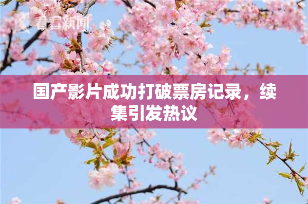 国产影片成功打破票房记录，续集引发热议