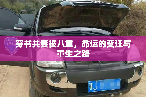 穿书共妻被八重，命运的变迁与重生之路