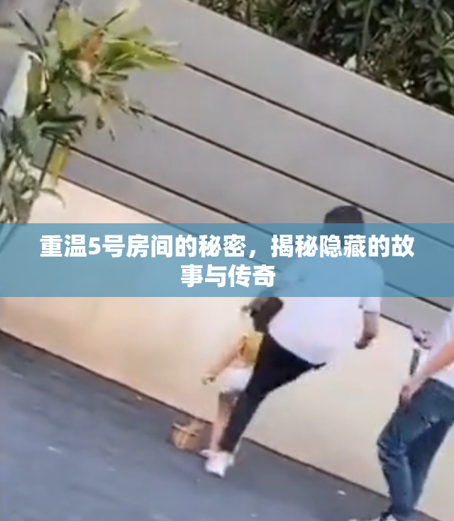 重温5号房间的秘密，揭秘隐藏的故事与传奇