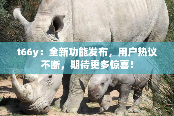 t66y：全新功能发布，用户热议不断，期待更多惊喜！
