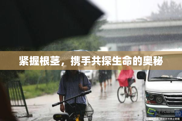 紧握根茎，携手共探生命的奥秘