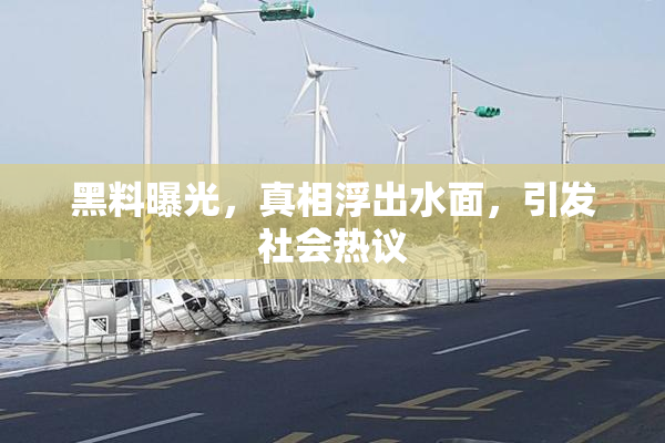 黑料曝光，真相浮出水面，引发社会热议