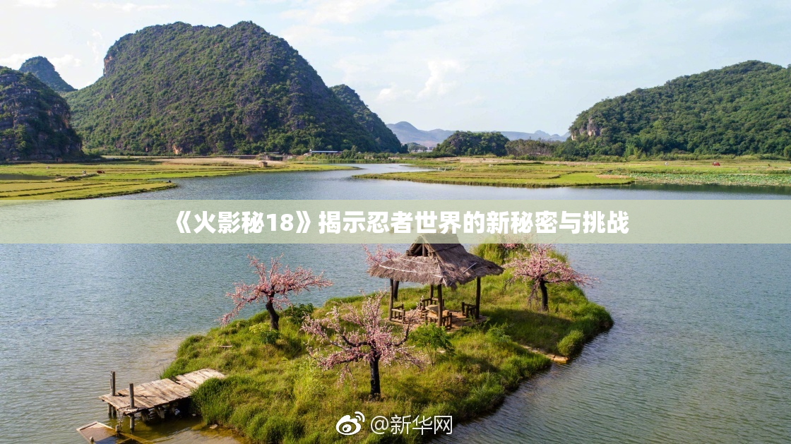 《火影秘18》揭示忍者世界的新秘密与挑战
