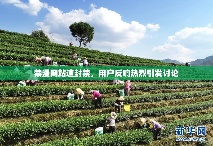 禁漫网站遭封禁，用户反响热烈引发讨论