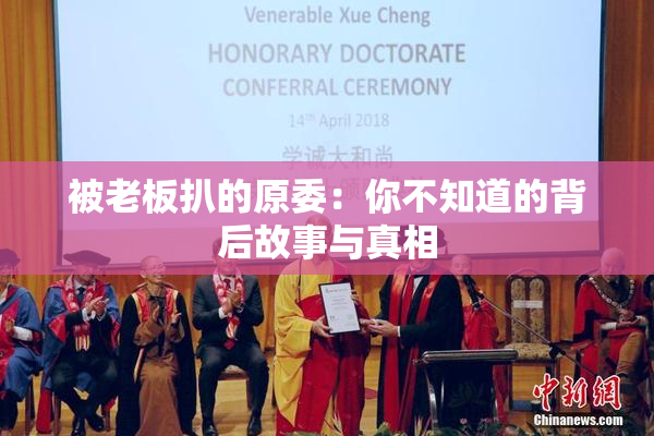 被老板扒的原委：你不知道的背后故事与真相