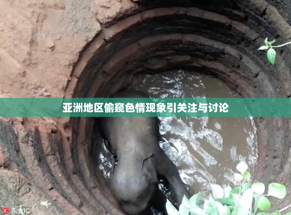 亚洲地区偷窥色情现象引关注与讨论