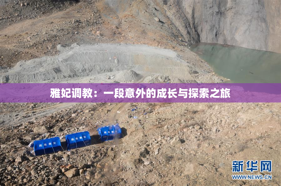 雅妃调教：一段意外的成长与探索之旅