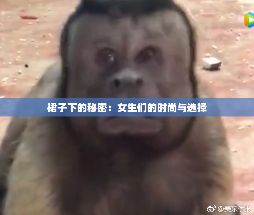 裙子下的秘密：女生们的时尚与选择