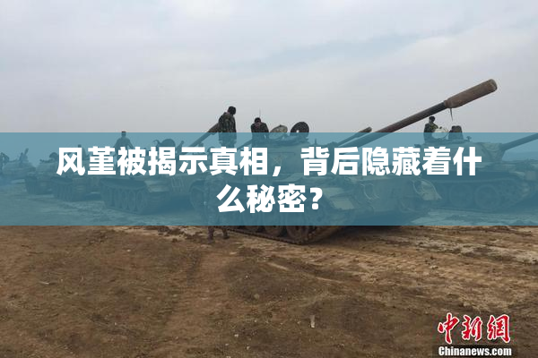 风堇被揭示真相，背后隐藏着什么秘密？