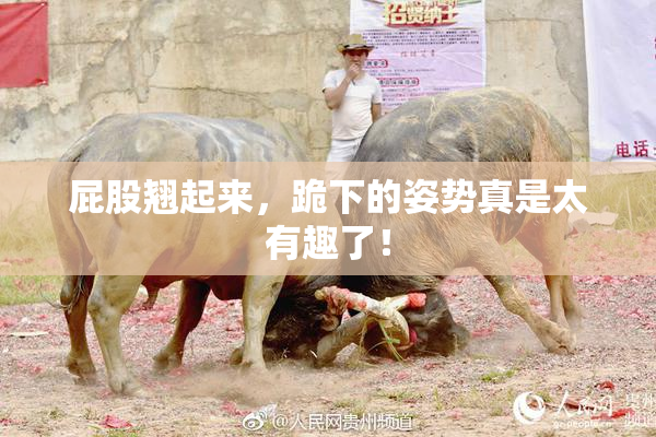 屁股翘起来，跪下的姿势真是太有趣了！