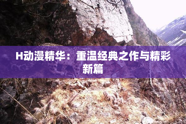 H动漫精华：重温经典之作与精彩新篇