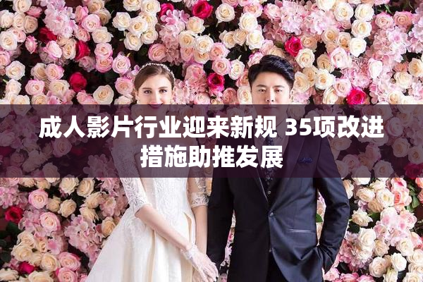 成人影片行业迎来新规 35项改进措施助推发展