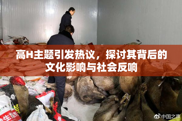 高H主题引发热议，探讨其背后的文化影响与社会反响
