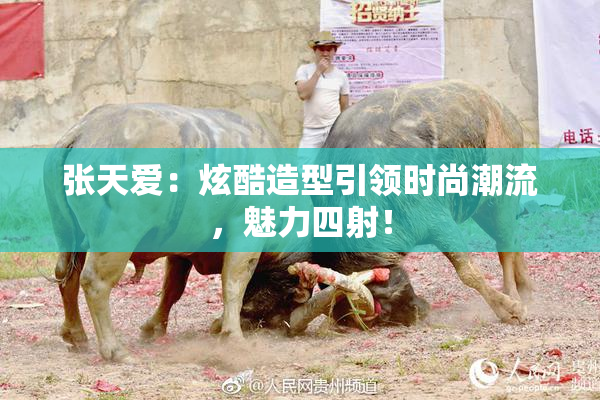 张天爱：炫酷造型引领时尚潮流，魅力四射！
