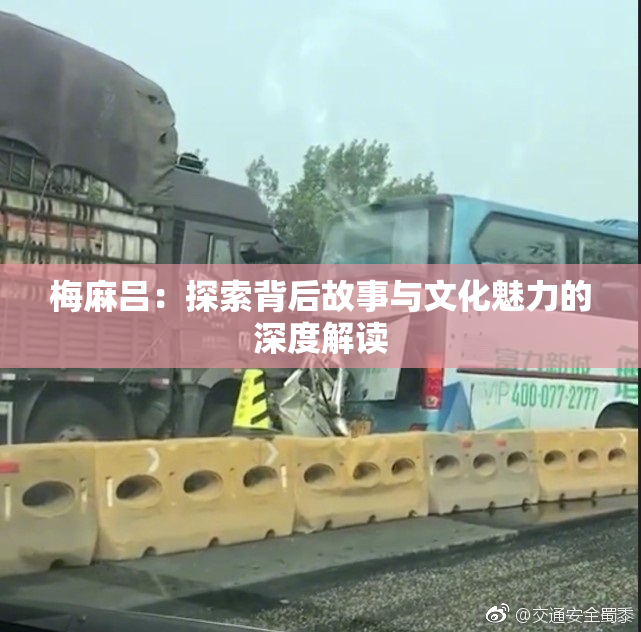 梅麻吕：探索背后故事与文化魅力的深度解读