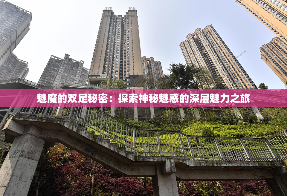 魅魔的双足秘密：探索神秘魅惑的深层魅力之旅