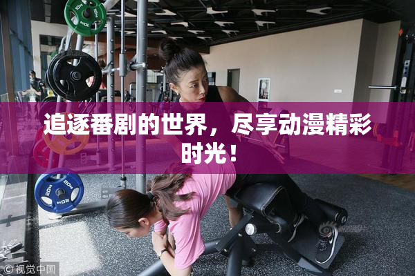 追逐番剧的世界，尽享动漫精彩时光！