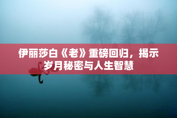 伊丽莎白《老》重磅回归，揭示岁月秘密与人生智慧