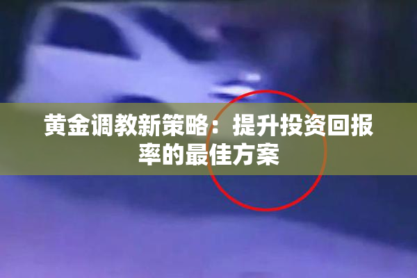 黄金调教新策略：提升投资回报率的最佳方案
