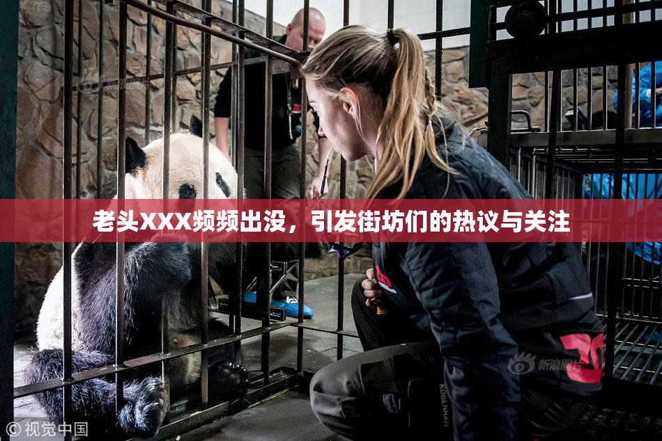 老头XXX频频出没，引发街坊们的热议与关注