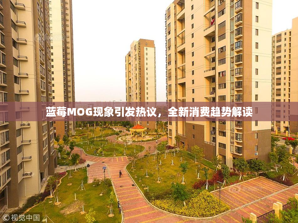 蓝莓MOG现象引发热议，全新消费趋势解读
