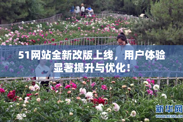 51网站全新改版上线，用户体验显著提升与优化！
