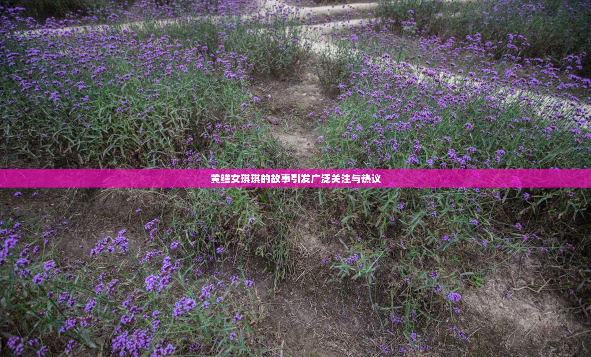 黄鳝女琪琪的故事引发广泛关注与热议
