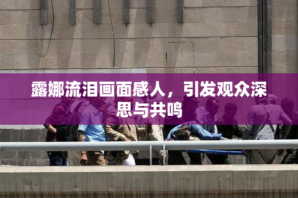 露娜流泪画面感人，引发观众深思与共鸣