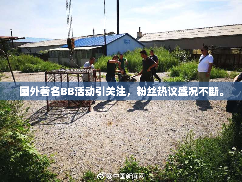 国外著名BB活动引关注，粉丝热议盛况不断。