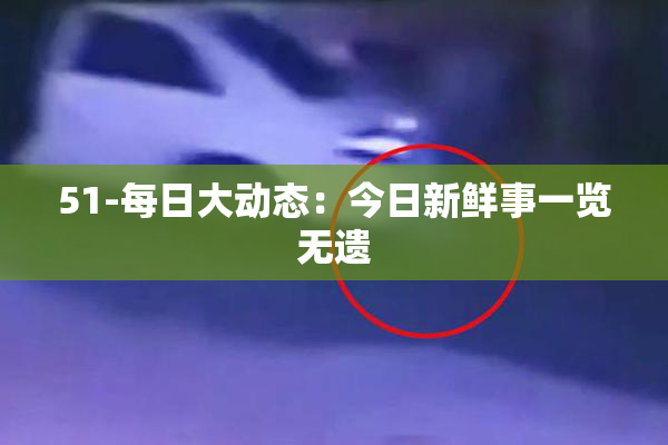 51-每日大动态：今日新鲜事一览无遗