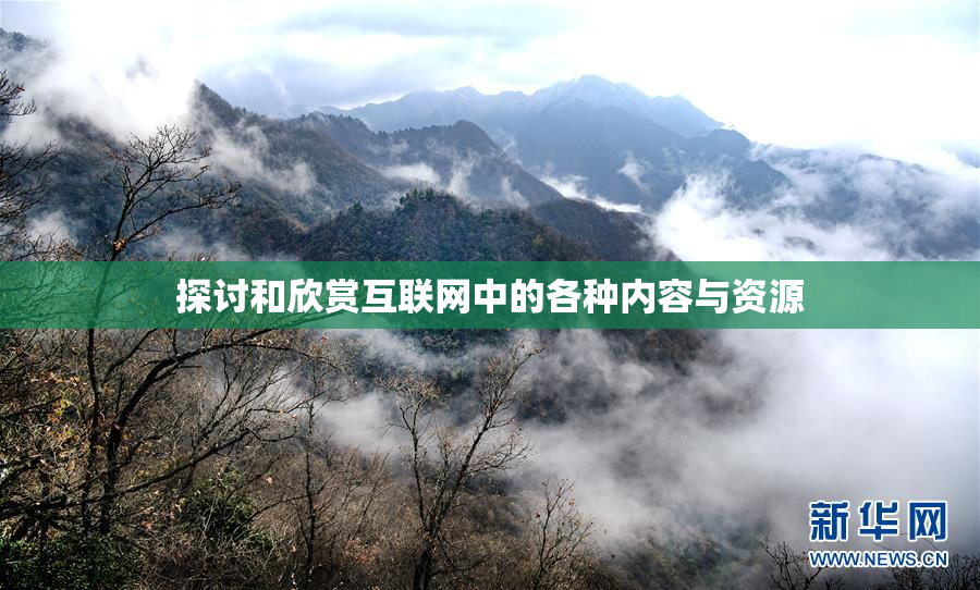 探讨和欣赏互联网中的各种内容与资源