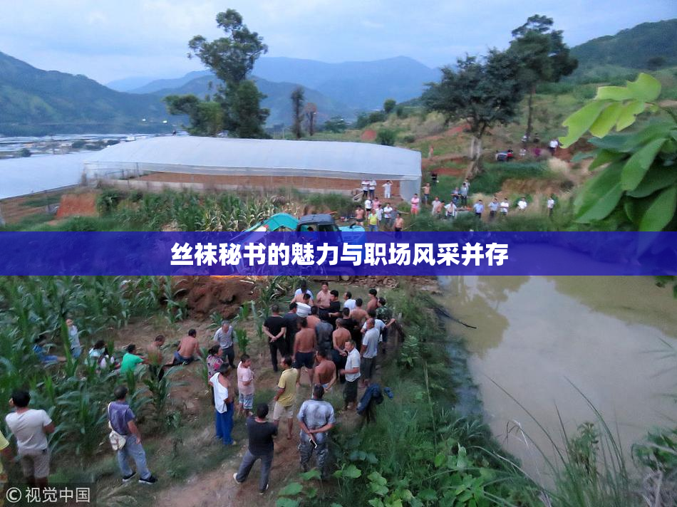 丝袜秘书的魅力与职场风采并存