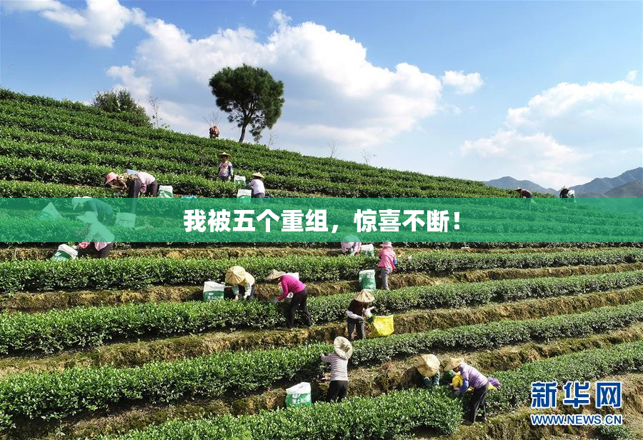 我被五个重组，惊喜不断！