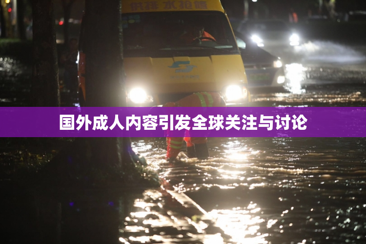 国外成人内容引发全球关注与讨论