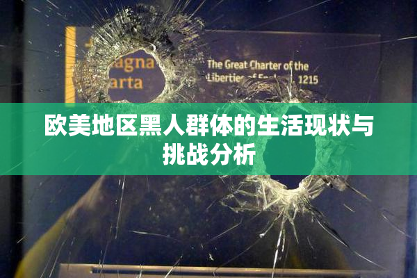 欧美地区黑人群体的生活现状与挑战分析