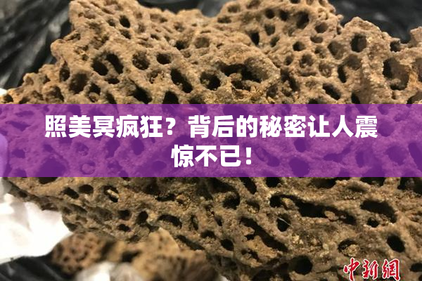 照美冥疯狂？背后的秘密让人震惊不已！