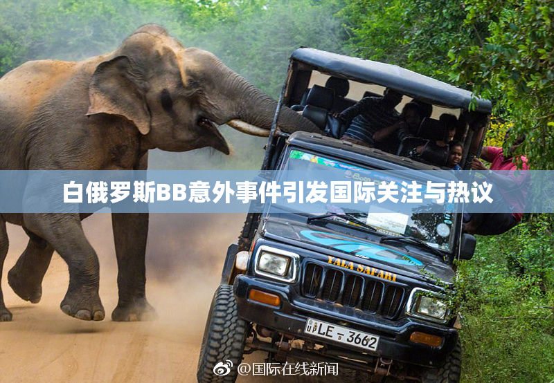 白俄罗斯BB意外事件引发国际关注与热议