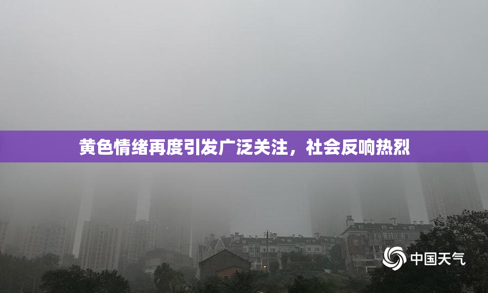 黄色情绪再度引发广泛关注，社会反响热烈