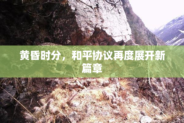 黄昏时分，和平协议再度展开新篇章