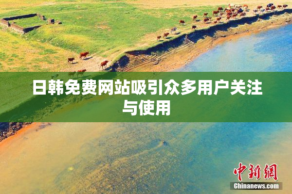 日韩免费网站吸引众多用户关注与使用