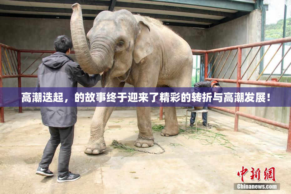 高潮迭起，的故事终于迎来了精彩的转折与高潮发展！