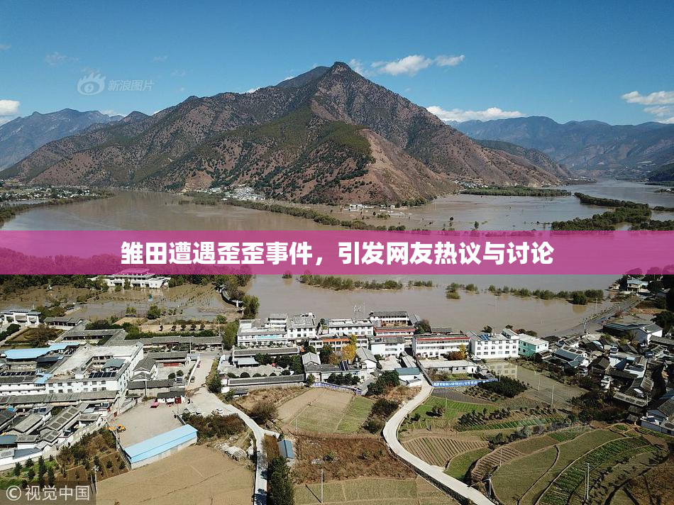 雏田遭遇歪歪事件，引发网友热议与讨论