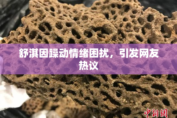 舒淇因躁动情绪困扰，引发网友热议