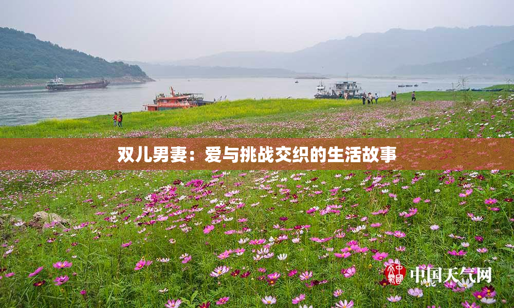 双儿男妻：爱与挑战交织的生活故事