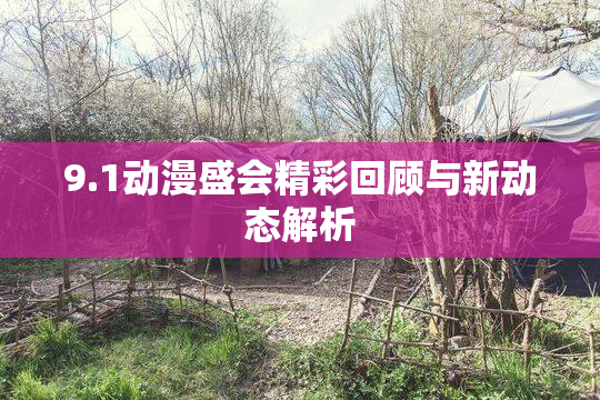 9.1动漫盛会精彩回顾与新动态解析